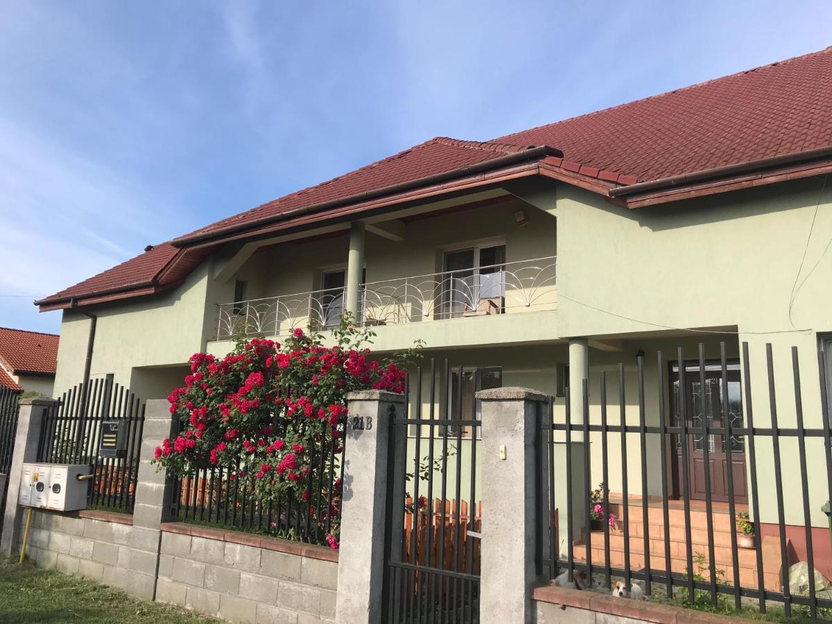Villa Casa Vio à Timişoara Extérieur photo