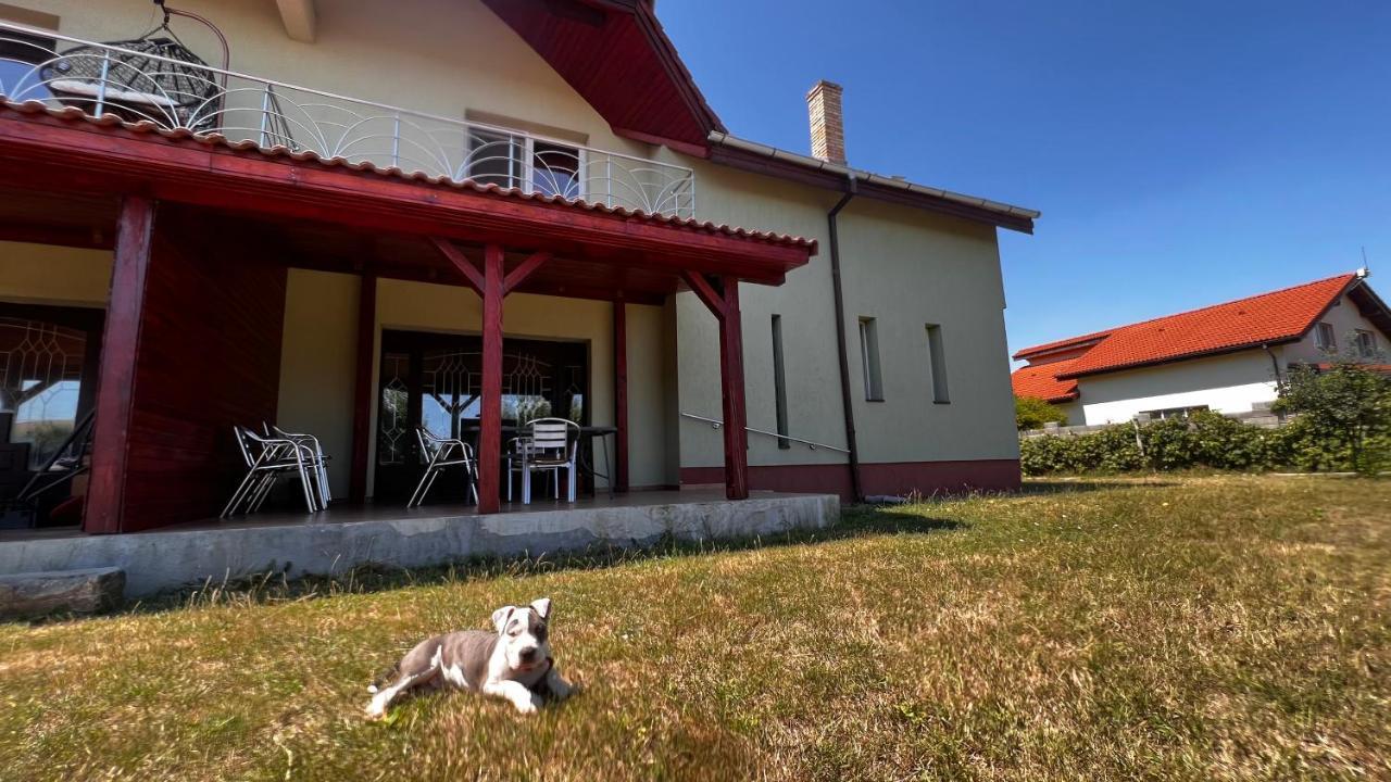 Villa Casa Vio à Timişoara Extérieur photo