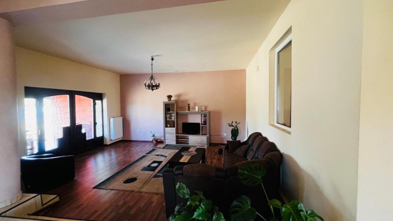 Villa Casa Vio à Timişoara Extérieur photo
