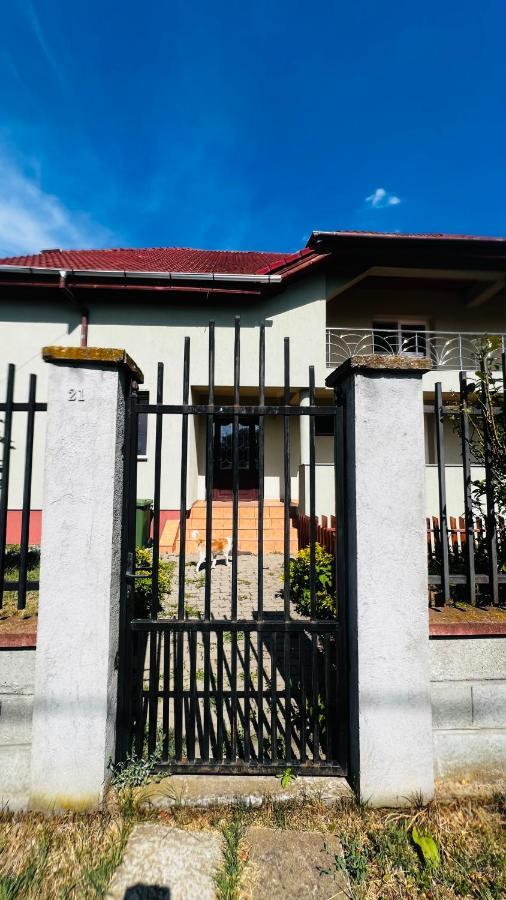 Villa Casa Vio à Timişoara Extérieur photo